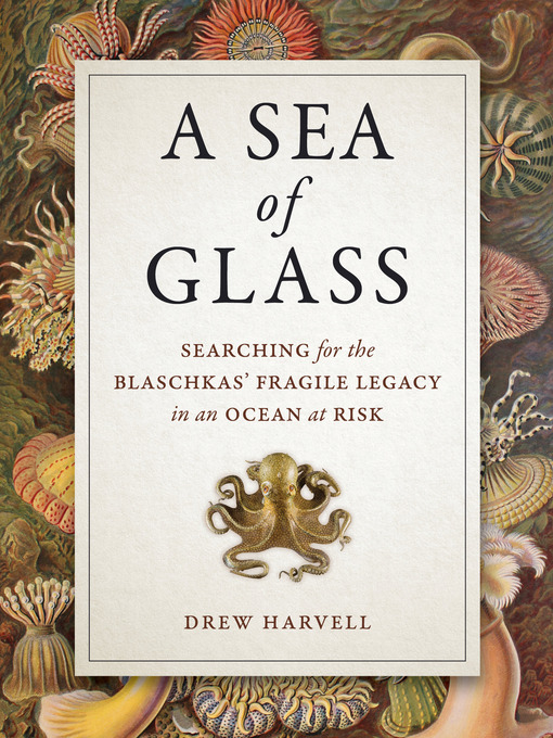 Title details for A Sea of Glass by Drew Harvell - Available